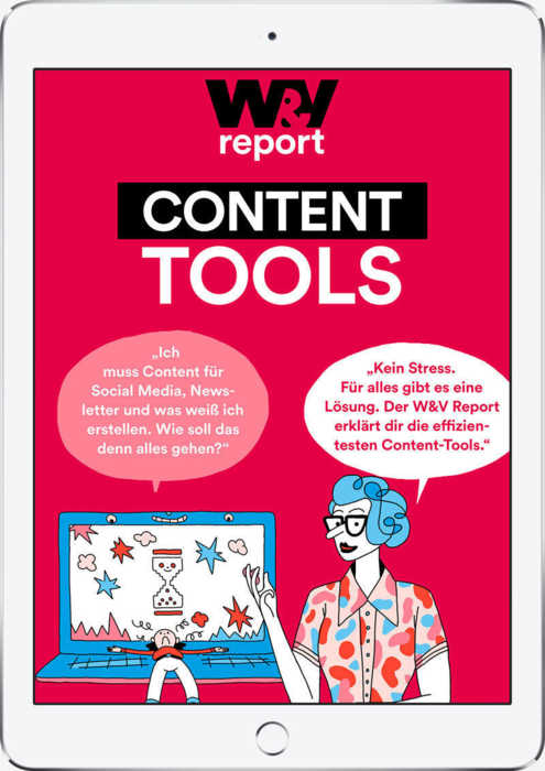 W&V Report Content Tools